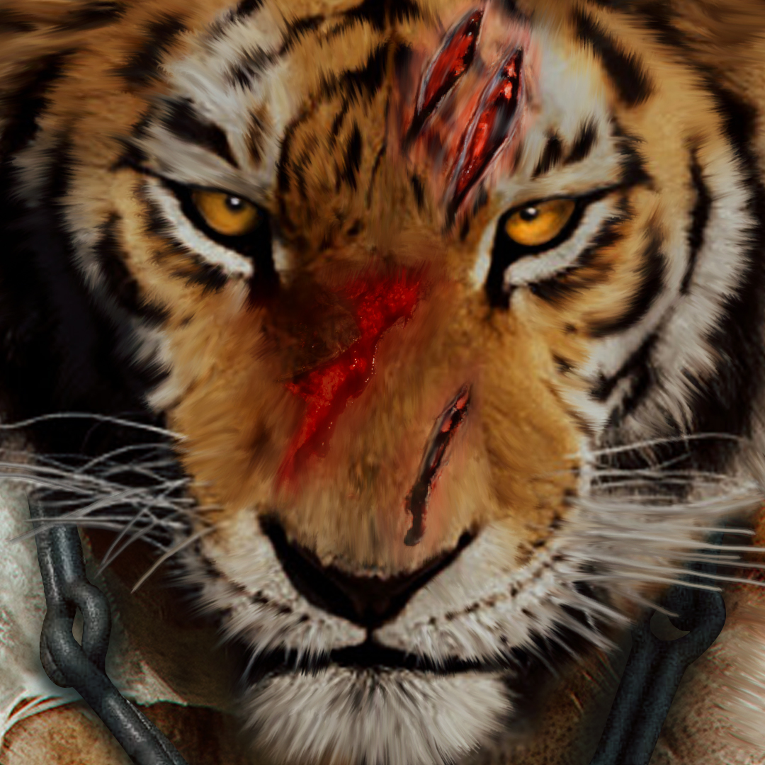 Tiger Scars